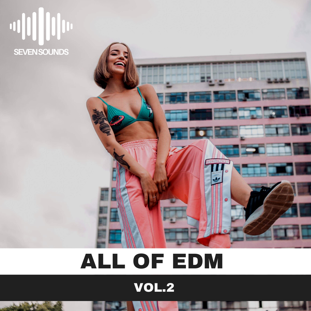 All of EDM vol.2